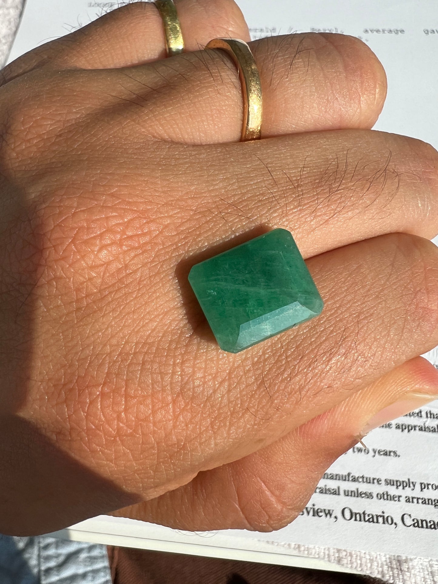 8.14 carats Natural Zambian Emerald with the appraisal certificate