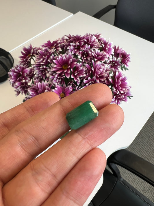 Natural zambian emerald 9.86 carats huge size certified with the appraisal