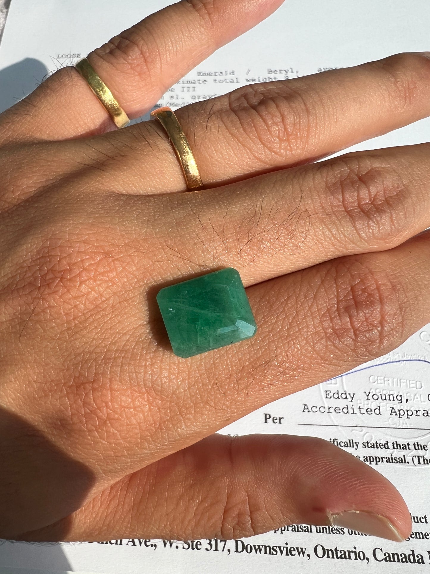 8.14 carats Natural Zambian Emerald with the appraisal certificate